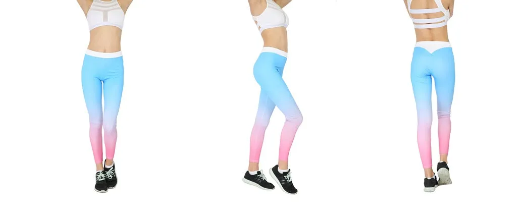 Leggings Active Sports  (FAB-19130)